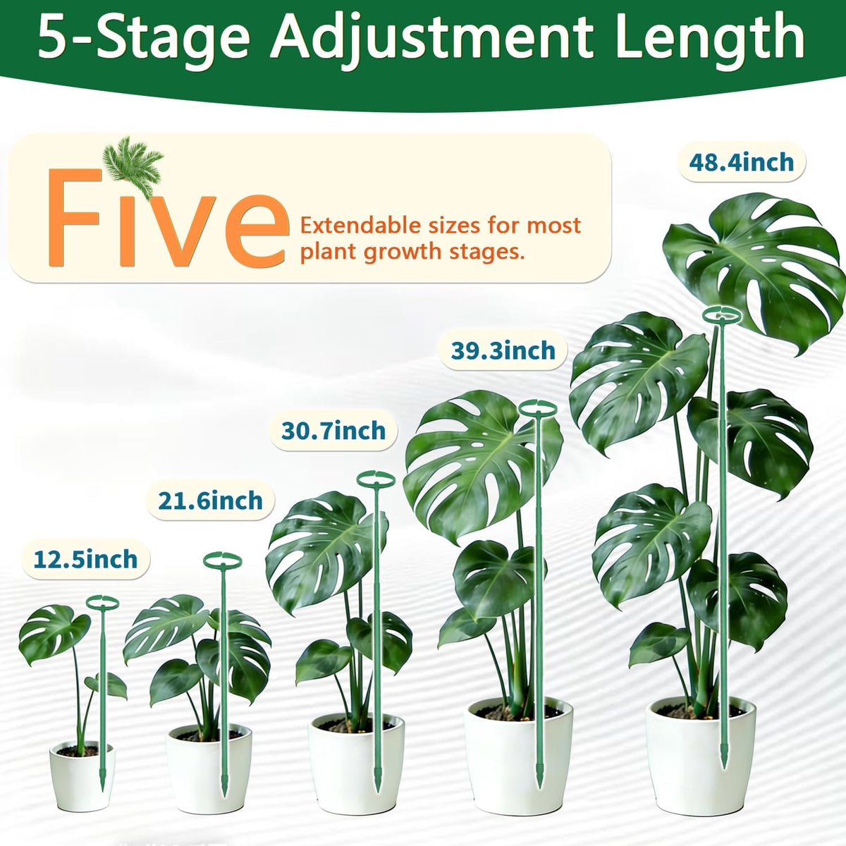 Telescoping Monstera Plant Stakes, 12.5-48.4IN Indoor Plant Support- 3Pack