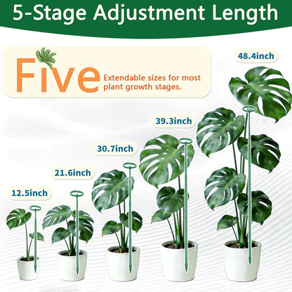 Telescoping Monstera Plant Stakes, 12.5-48.4IN Indoor Plant Support- 3Pack