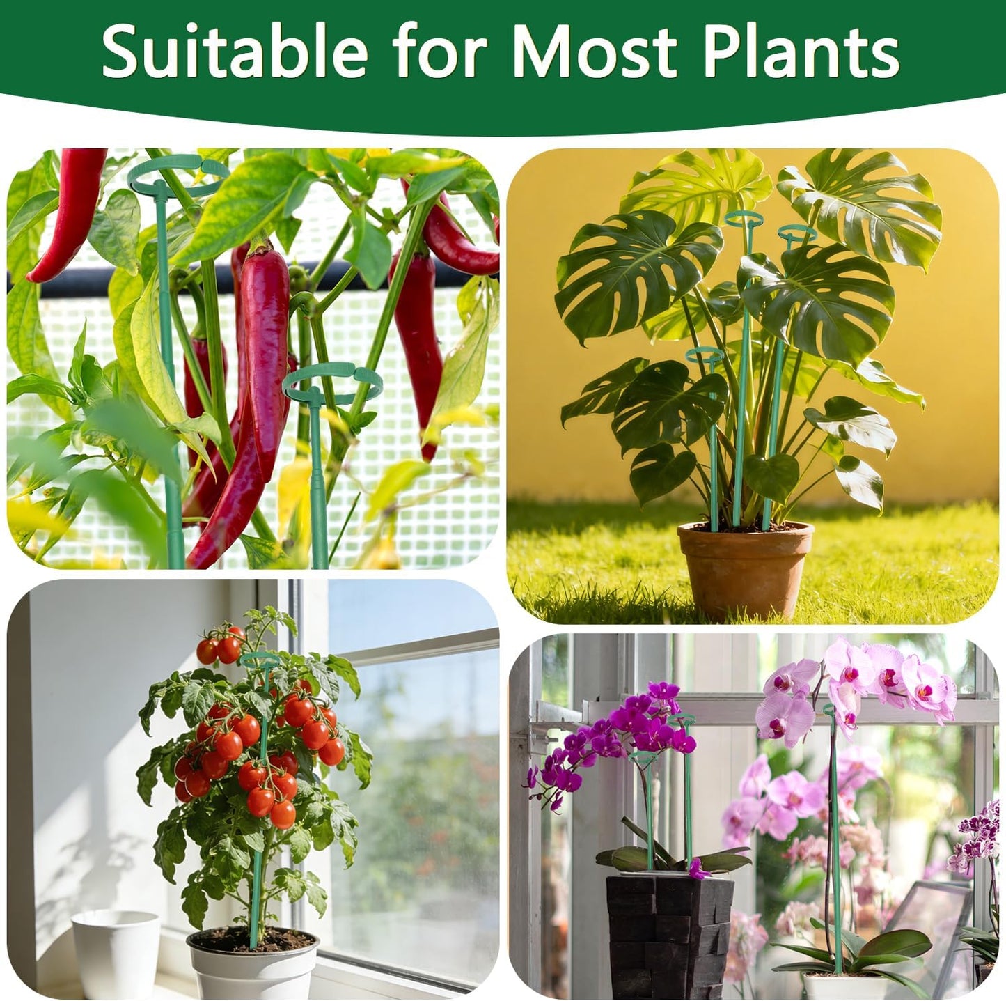 Telescoping Monstera Plant Stakes, 12.5-48.4IN Indoor Plant Support- 3Pack