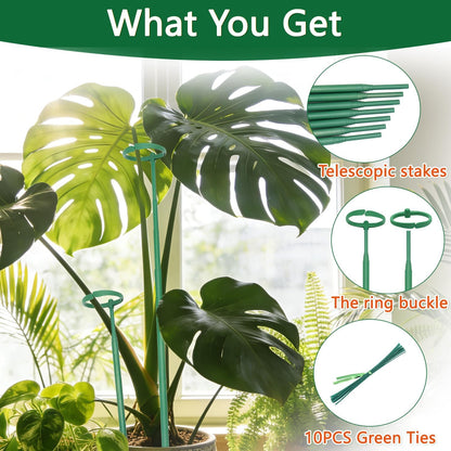 Telescoping Monstera Plant Stakes, 12.5-48.4IN Indoor Plant Support- 3Pack