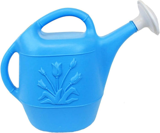 Union Products 63066 2 Gallon Indoor/Outdoor Watering Can, Caribbean Blue