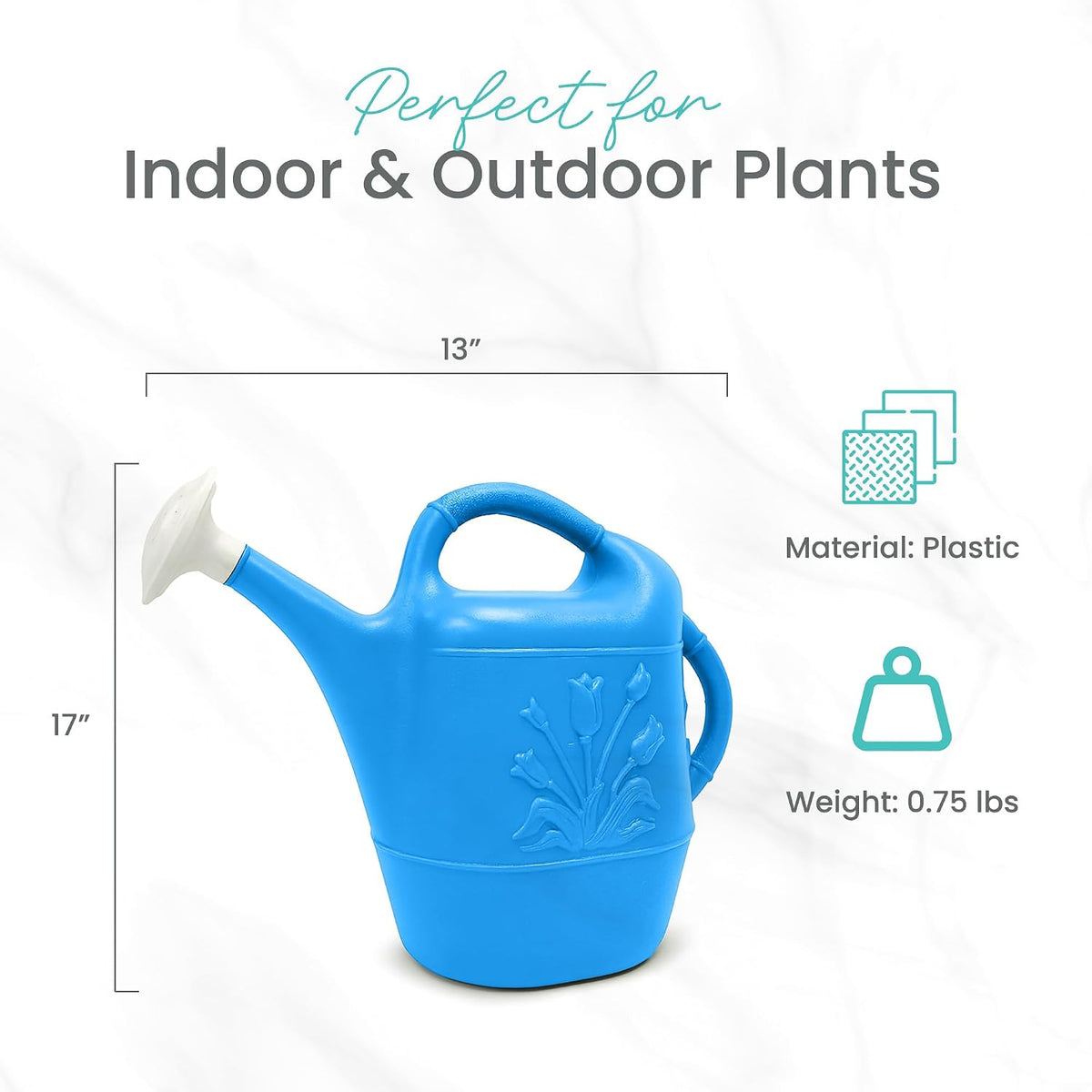 Union Products 63066 2 Gallon Indoor/Outdoor Watering Can, Caribbean Blue
