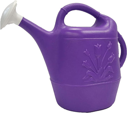 Union Products 63066 2 Gallon Indoor/Outdoor Watering Can, Caribbean Blue