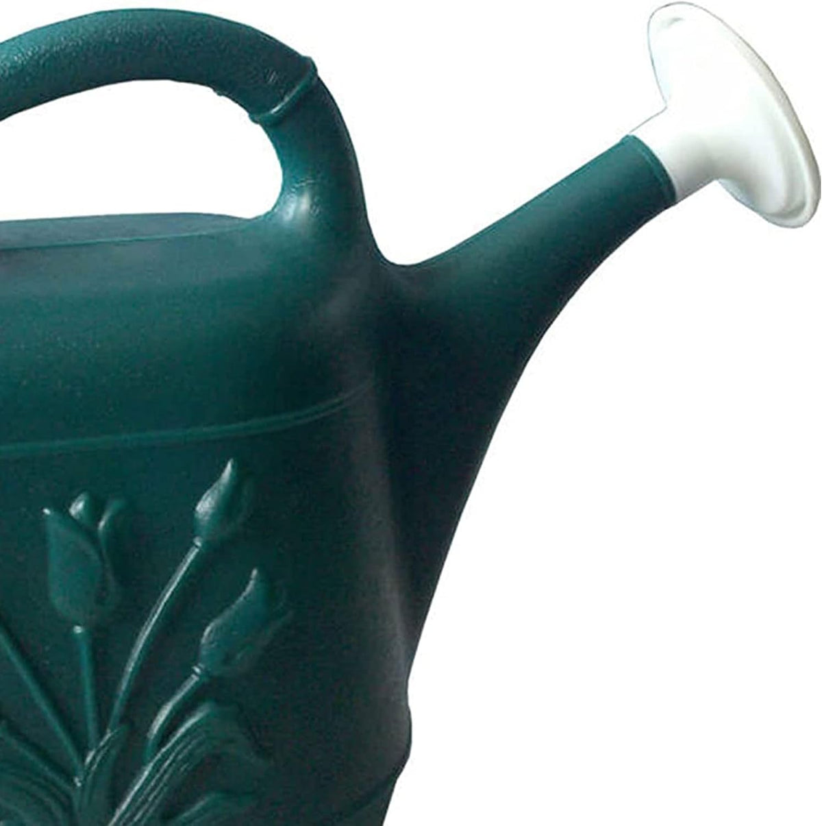 Union Products 63066 2 Gallon Indoor/Outdoor Watering Can, Caribbean Blue