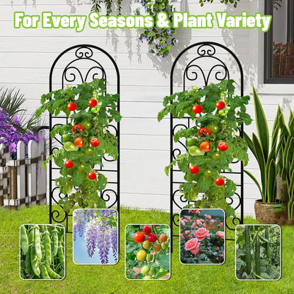 Garden Trellis for Climbing Plants, 3 Pack 38" Wx 64.6" H Rustproof Flower Trellis with Black Coating, Outdoor Climbing Rose Trellis Cucumbers Support for Courtyards Lawns (Curved Shape, 3 Pieces)
