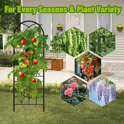 Garden Trellis for Climbing Plants, 3 Pack 38" Wx 64.6" H Rustproof Flower Trellis with Black Coating, Outdoor Climbing Rose Trellis Cucumbers Support for Courtyards Lawns (Curved Shape, 3 Pieces)