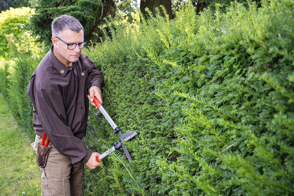 F250-63 Swiss Made Hedge Shears for Gardening – 25" Lightweight Precision Clippers for Shrub Trimming | Hedge Scissors | Trimmer Tool with Chromed Carbon Blades | I-Beam Handles