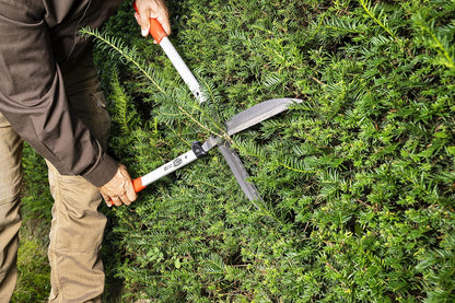 F250-63 Swiss Made Hedge Shears for Gardening – 25" Lightweight Precision Clippers for Shrub Trimming | Hedge Scissors | Trimmer Tool with Chromed Carbon Blades | I-Beam Handles