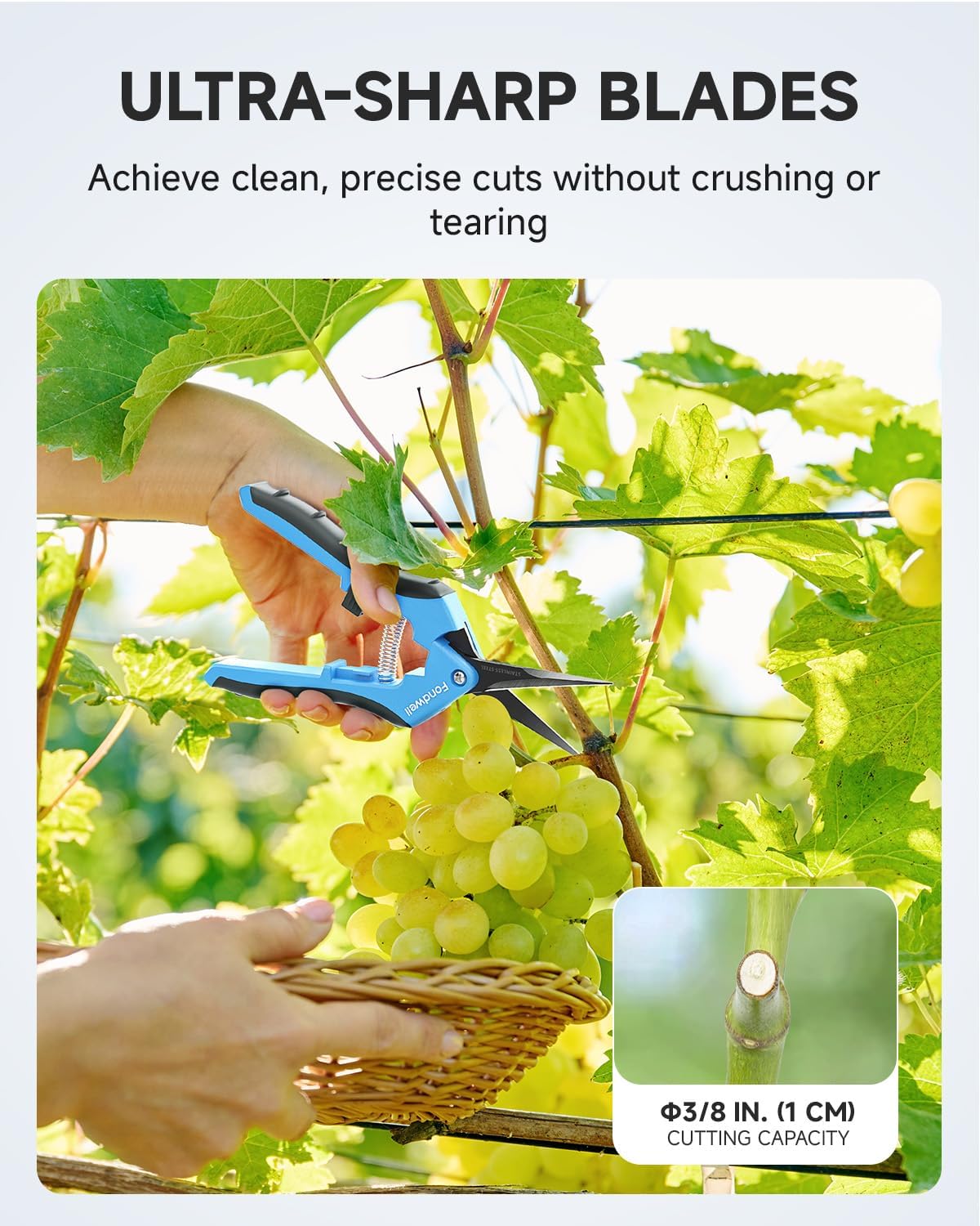 6.5" Precision Pruning Shears for Gardening Bud Trimming Scissors