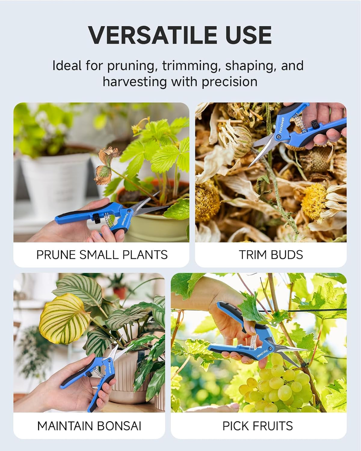 6.5" Precision Pruning Shears for Gardening Bud Trimming Scissors