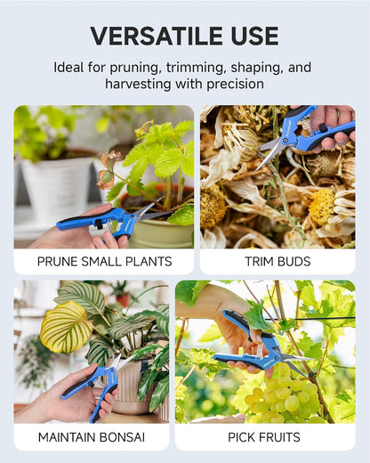 6.5" Precision Pruning Shears for Gardening Bud Trimming Scissors