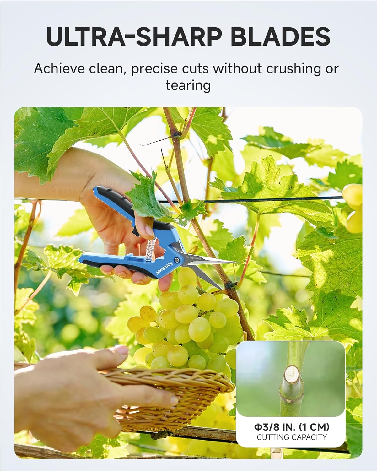 6.5" Precision Pruning Shears for Gardening Bud Trimming Scissors
