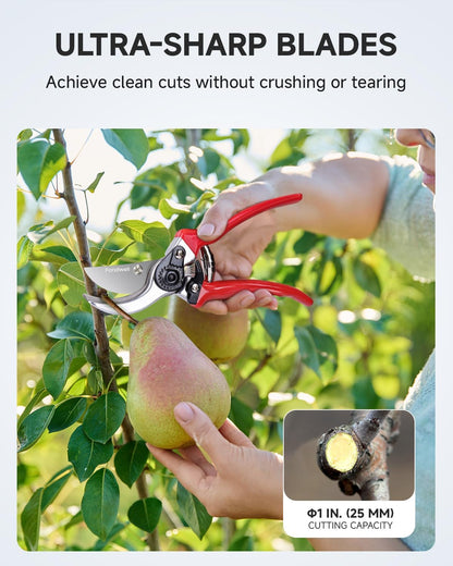 6.5" Precision Pruning Shears for Gardening Bud Trimming Scissors