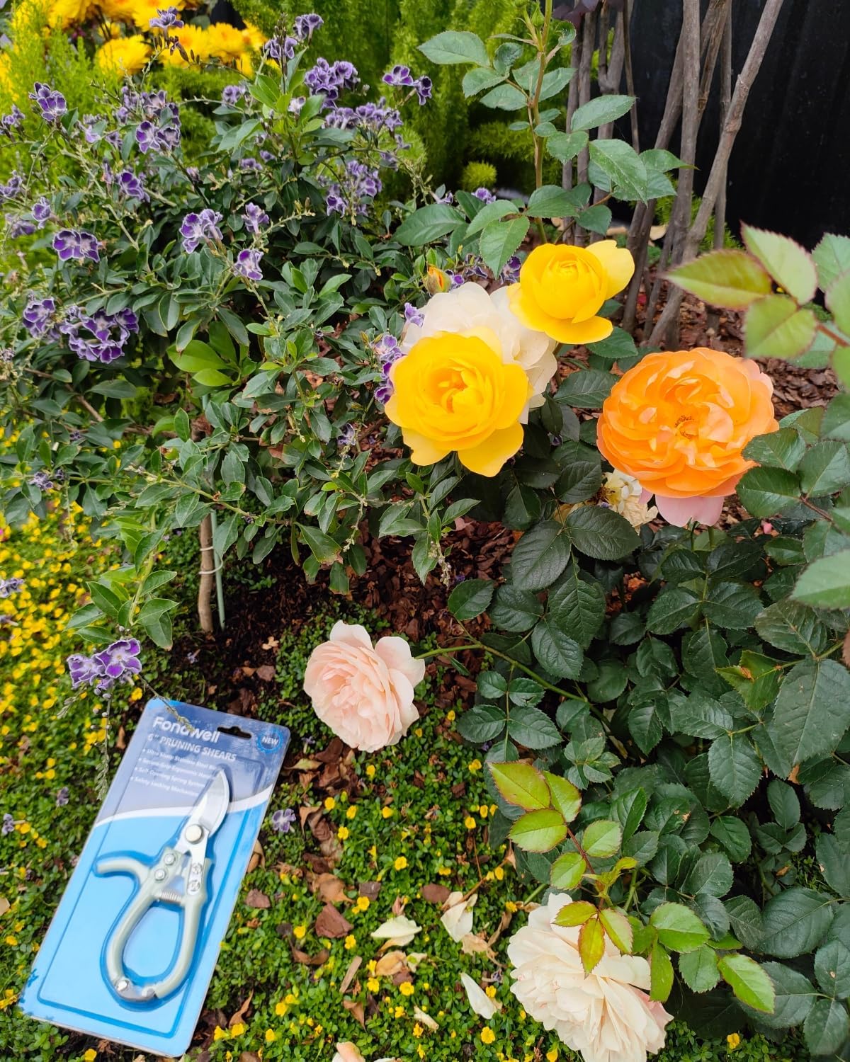 6.5" Precision Pruning Shears for Gardening Bud Trimming Scissors
