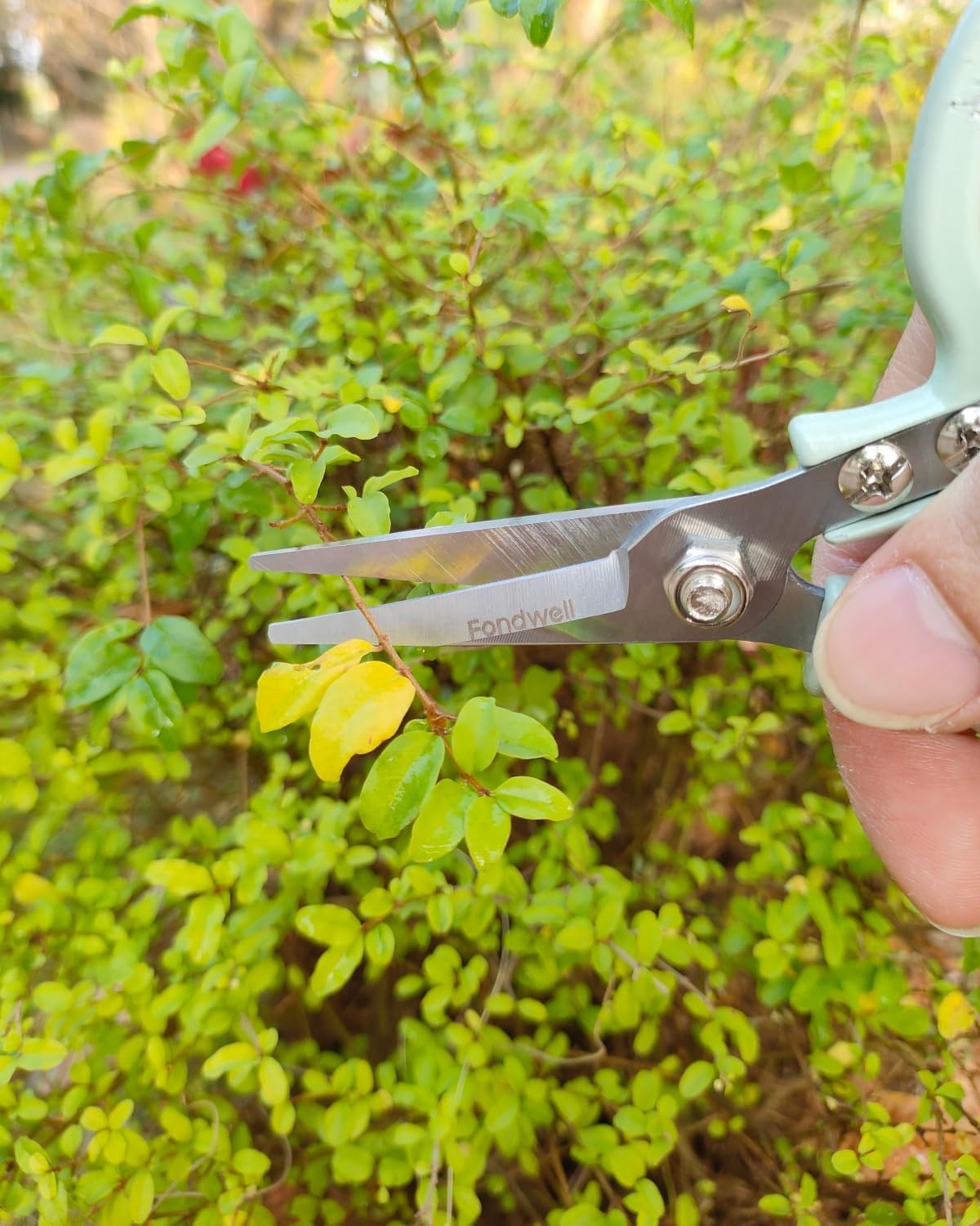 6.5" Precision Pruning Shears for Gardening Bud Trimming Scissors