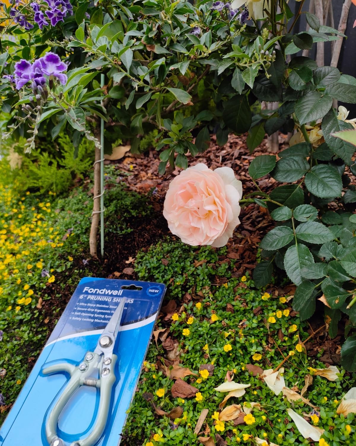 6.5" Precision Pruning Shears for Gardening Bud Trimming Scissors
