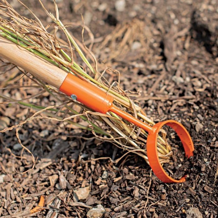 Hoop Hoe (4-Inch Diameter Head with 60-Inch Hardwood Handle)