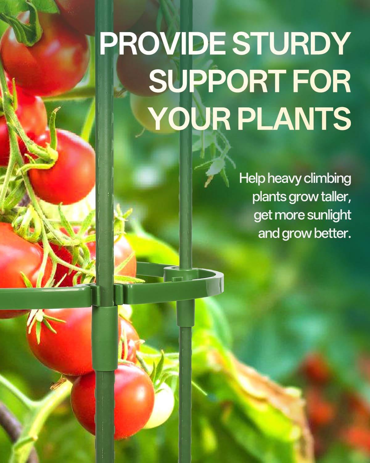 3 Pack Tomato Cage, Up to 47 Inch Adjustable Square Tomato Cages for Pots