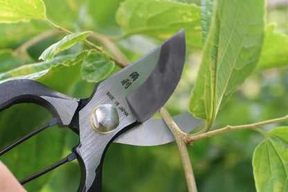 Japanese Pruning Shears for Gardening Heavy Duty 8", Made in JAPAN, Professional Garden Bypass Pruners with Leather Sheath, Hand Forged Japanese Carbon Steel, Black