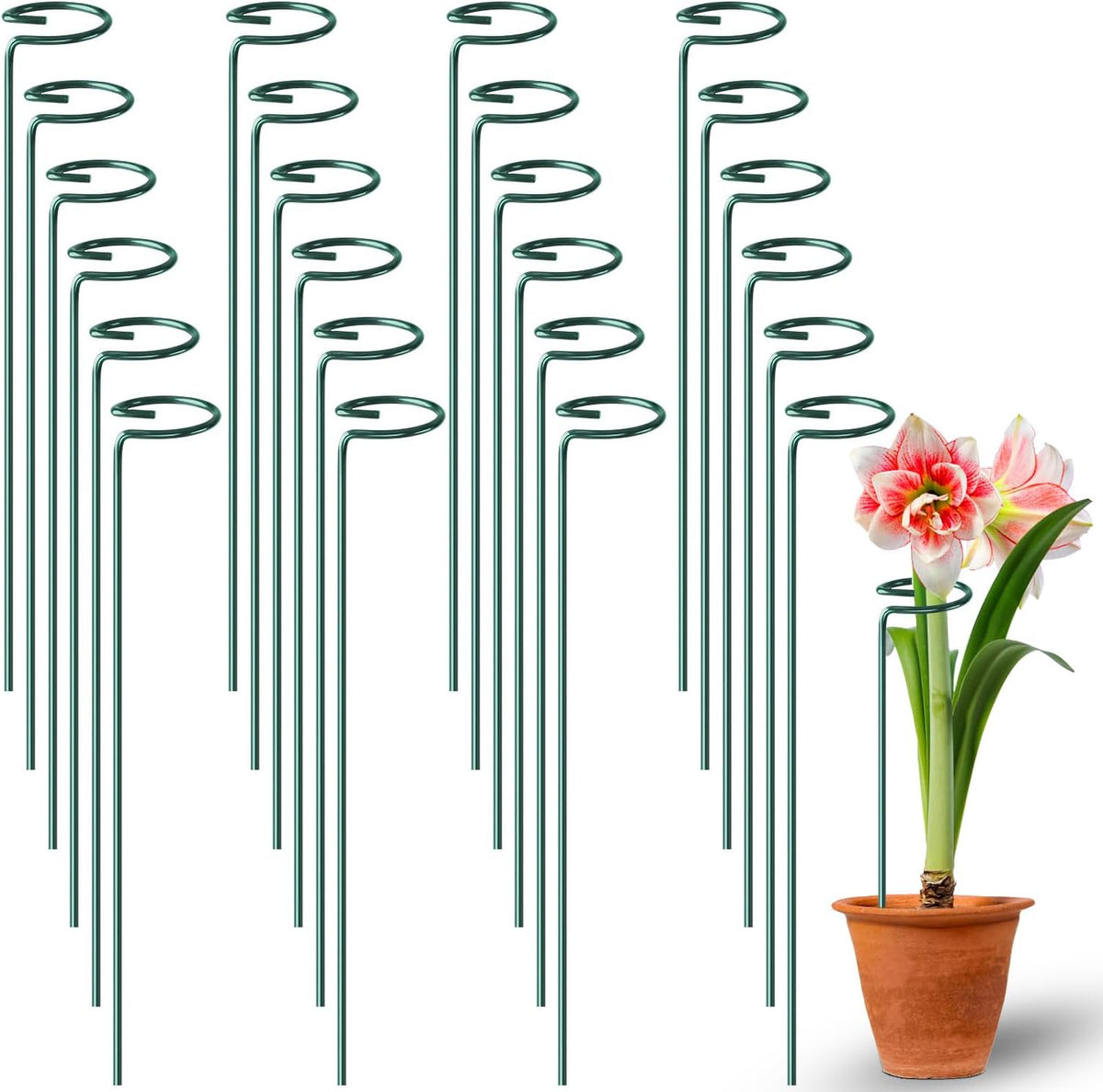 24 Pack Plant Support Stakes, 16 Inch Metal Garden Plant Stakes Single Stem Support Rings for Indoor Outdoor Amaryllis, Flowers Orchid, Lily, Peony, Rose, Tomato, Monstera, Narcissus