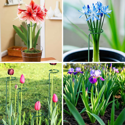 24 Pack Plant Support Stakes, 16 Inch Metal Garden Plant Stakes Single Stem Support Rings for Indoor Outdoor Amaryllis, Flowers Orchid, Lily, Peony, Rose, Tomato, Monstera, Narcissus