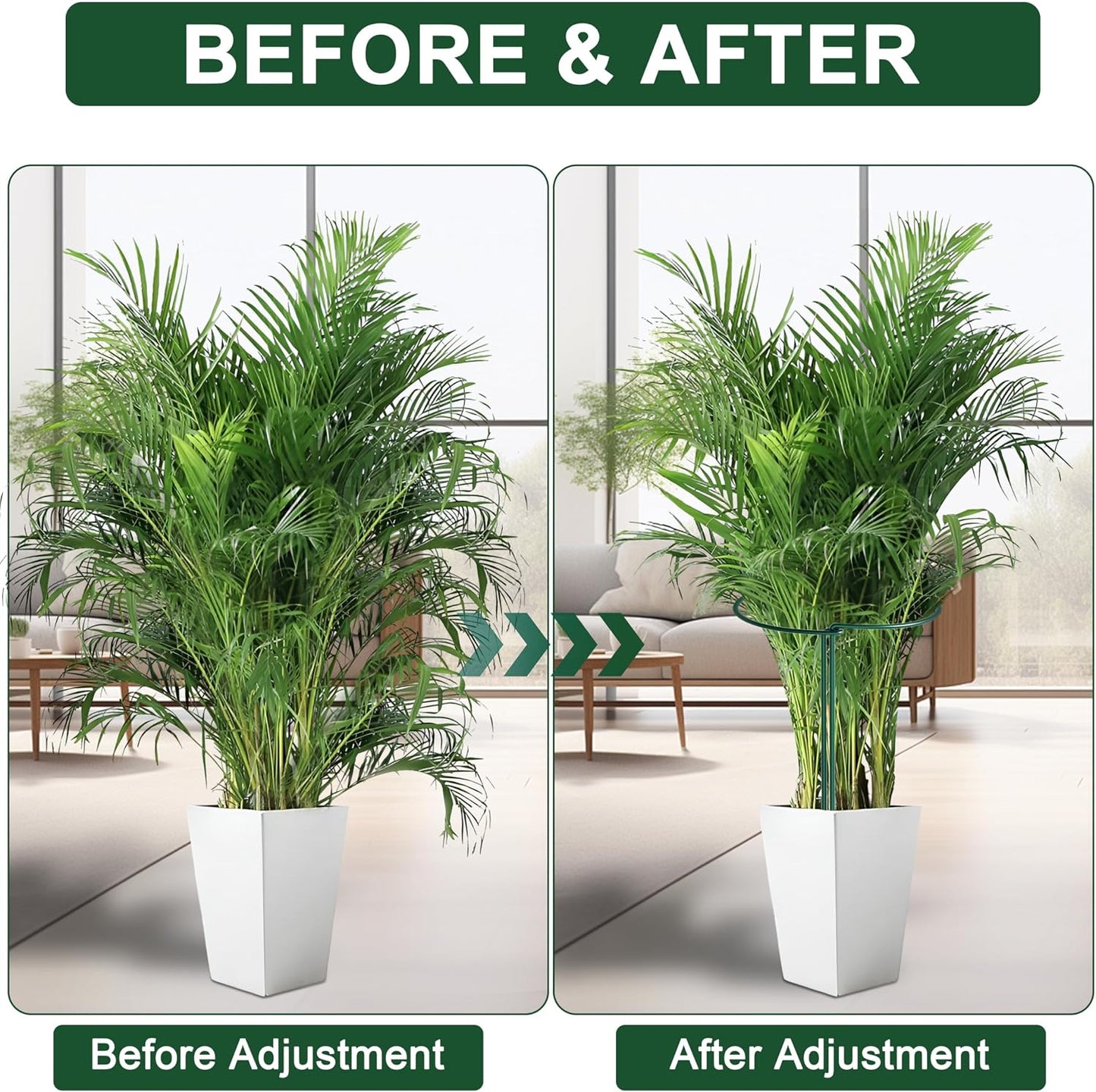 6 Pack Peony Cages and Supports, 10" (W) x 24"(H) Plant Support, Rust-Proof Metal Plant Support Stakes for Outdoor&Indoor Plants
