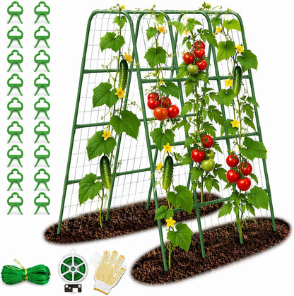 63"/5FT Heavy Duty Cucumber Trellis for Raised Beds, 16mm Metal Garden Trellis with Netting & Clips, Tall Vegetable Trellis for Tomatoes, Beans, Peas & Climbing Plants