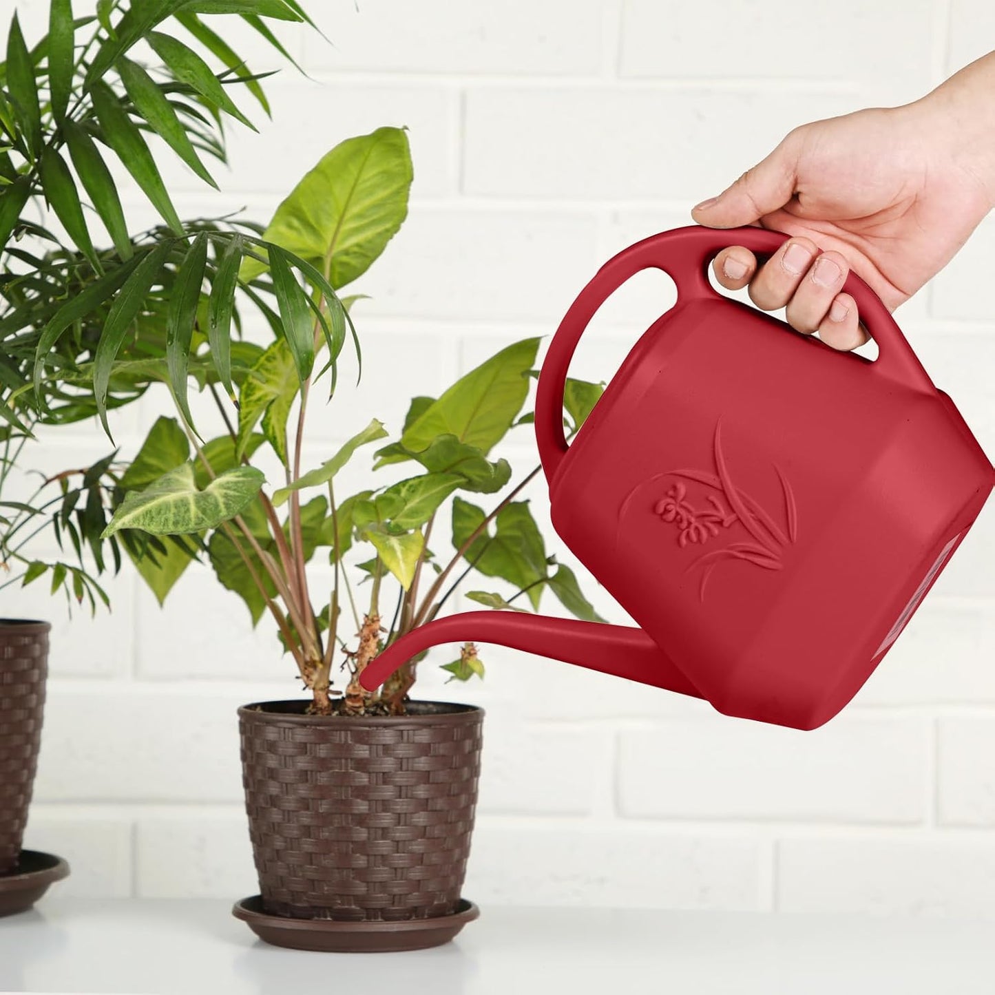 Hand Watering Can - for Home Plant Garden - 1/2 Gallon - Blue