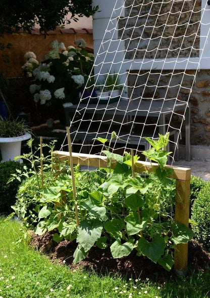 Nylon Trellis Netting Roll 5 x 200 ft, Heavy Duty Garden Netting with 6 Inch Soft Mesh, Plant Support Mesh for Climbing Plants, Vegetables, Fruits, Cucumbers, Peas, Tomatoes