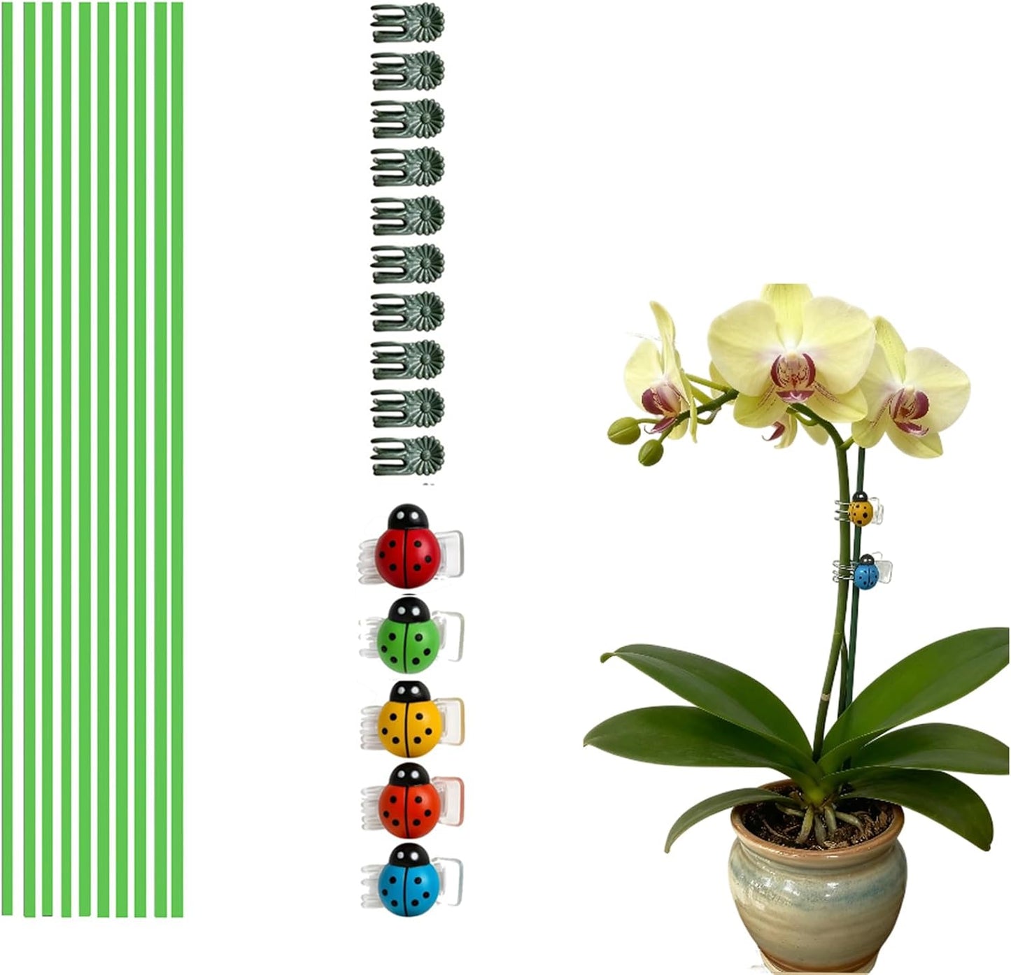 16.5Inch Plant Support Stakes 10Pcs for Garden Plants and Flower