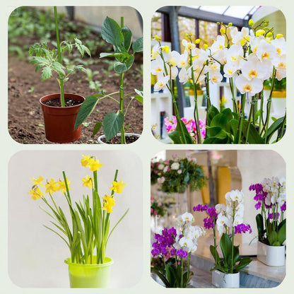 16.5Inch Plant Support Stakes 10Pcs for Garden Plants and Flower