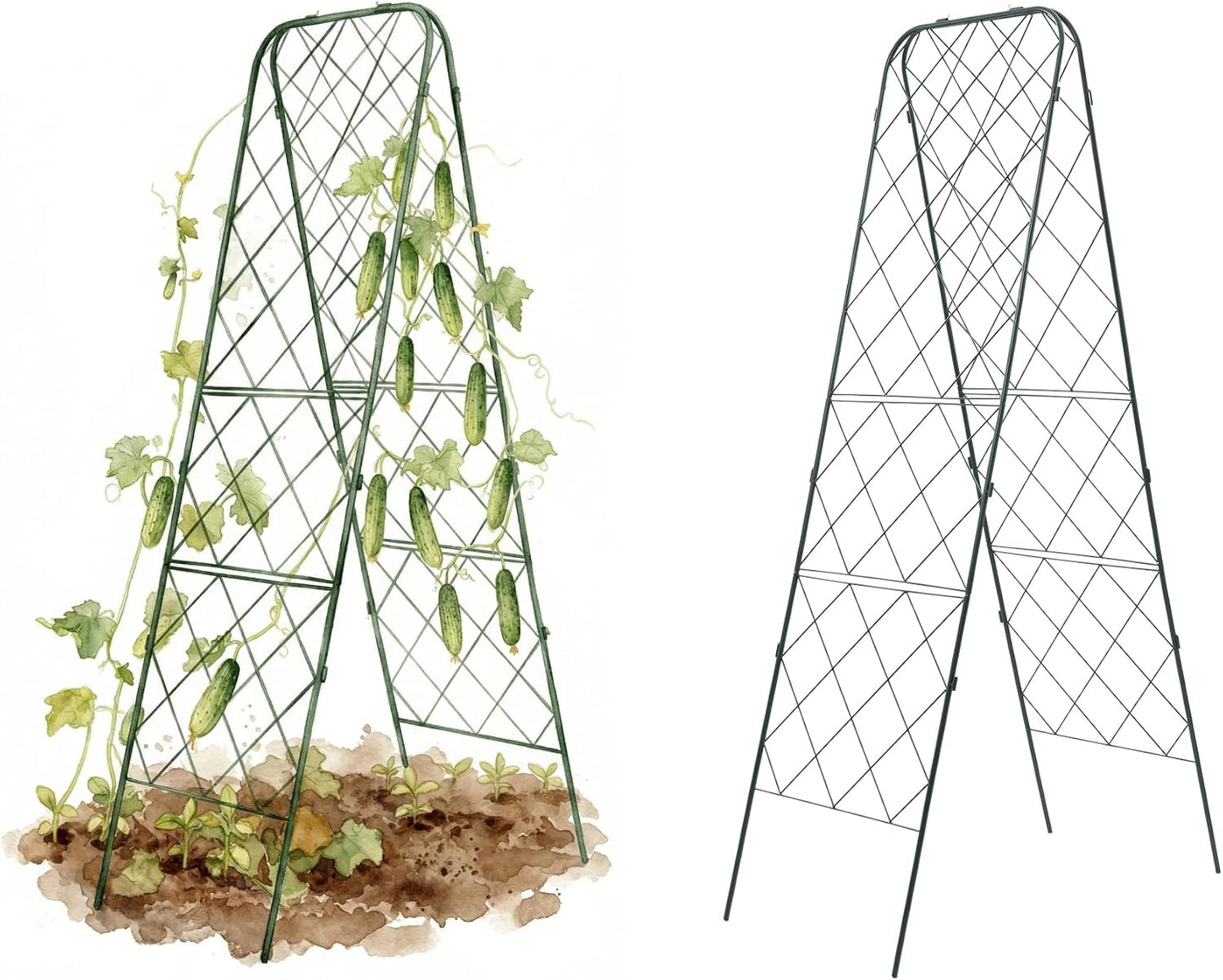A-Frame Trellis 80" Tall Cucumber Cage for Garden & Pots, Rust-Resistant Tomato Stakes Heavy Gauge Plant Cage Trellis Support for Climbing Vegetables Plants