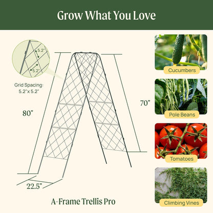 A-Frame Trellis 80" Tall Cucumber Cage for Garden & Pots, Rust-Resistant Tomato Stakes Heavy Gauge Plant Cage Trellis Support for Climbing Vegetables Plants