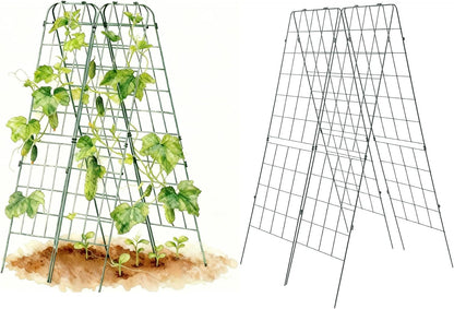A-Frame Trellis 80" Tall Cucumber Cage for Garden & Pots, Rust-Resistant Tomato Stakes Heavy Gauge Plant Cage Trellis Support for Climbing Vegetables Plants