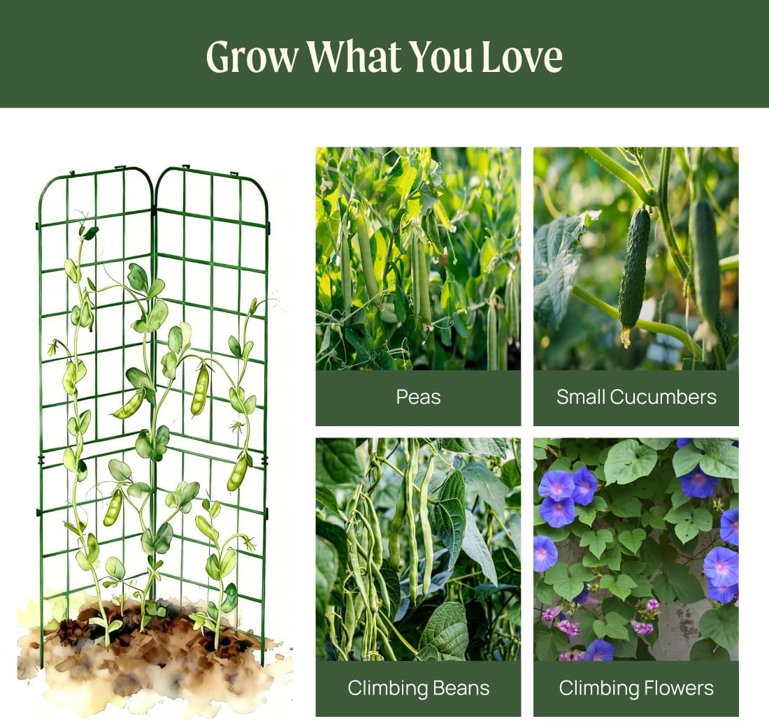 A-Frame Trellis 80" Tall Cucumber Cage for Garden & Pots, Rust-Resistant Tomato Stakes Heavy Gauge Plant Cage Trellis Support for Climbing Vegetables Plants