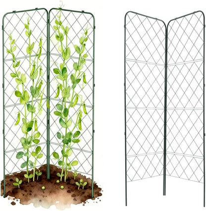 A-Frame Trellis 80" Tall Cucumber Cage for Garden & Pots, Rust-Resistant Tomato Stakes Heavy Gauge Plant Cage Trellis Support for Climbing Vegetables Plants