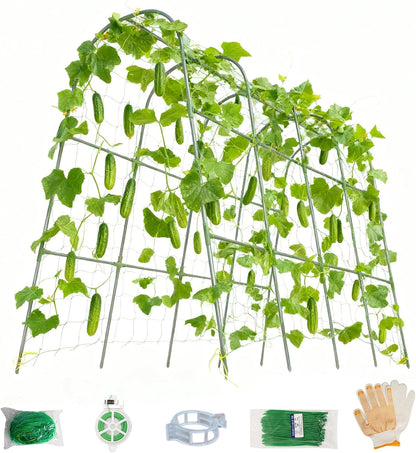 Cucumber Trellis for Raised Beds - Sturdy Arch Trellis for Peas, Beans & Climbing Plants | Outdoor Vegetable Support, Garden Trellis Kit (63" Lx30 Wx48 H)