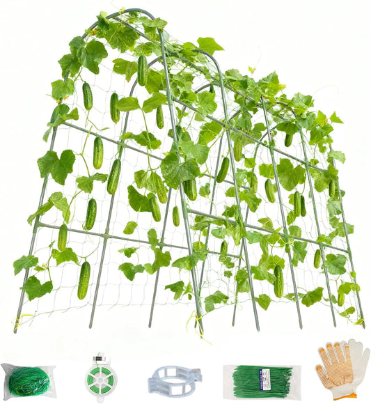 Cucumber Trellis for Raised Beds - Sturdy Arch Trellis for Peas, Beans & Climbing Plants | Outdoor Vegetable Support, Garden Trellis Kit (63" Lx30 Wx48 H)