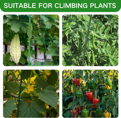 Cucumber Trellis for Raised Beds - Sturdy Arch Trellis for Peas, Beans & Climbing Plants | Outdoor Vegetable Support, Garden Trellis Kit (63" Lx30 Wx48 H)