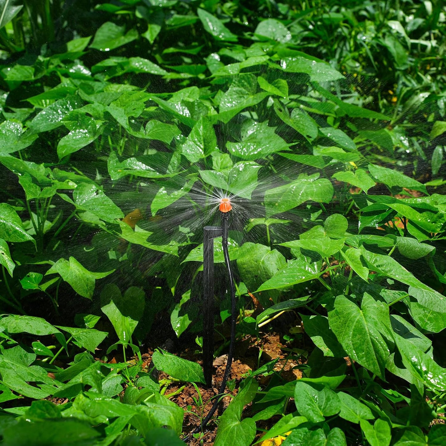 180 Degree Irrigation Sprinkler Heads: Drip Emitters with 12 Inch Stake