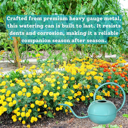 Teal Round 1.5 Liter Metal Watering Can