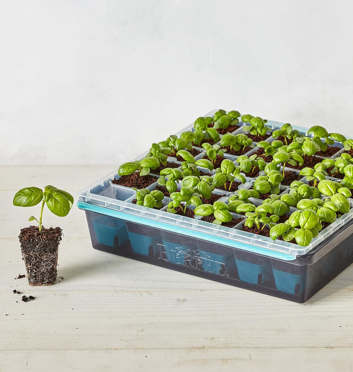 SuperSeed 36-Cell Reusable Seed Starting Tray for Indoor Seedlings