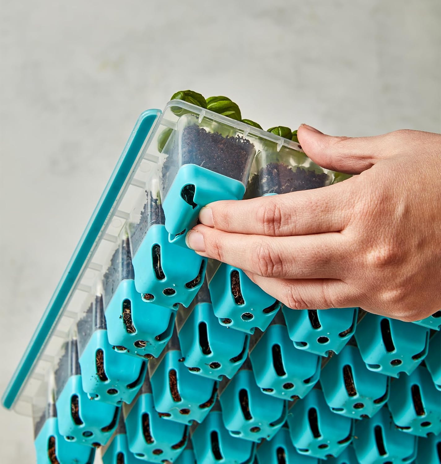 SuperSeed 36-Cell Reusable Seed Starting Tray for Indoor Seedlings