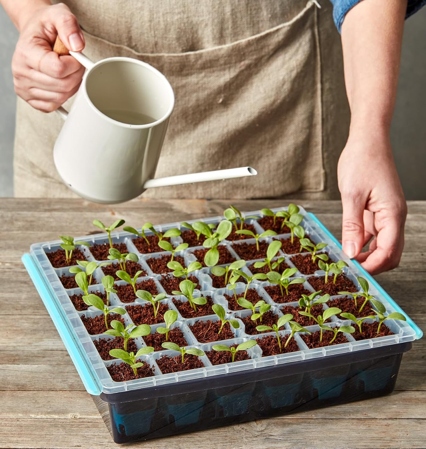 SuperSeed 36-Cell Reusable Seed Starting Tray for Indoor Seedlings