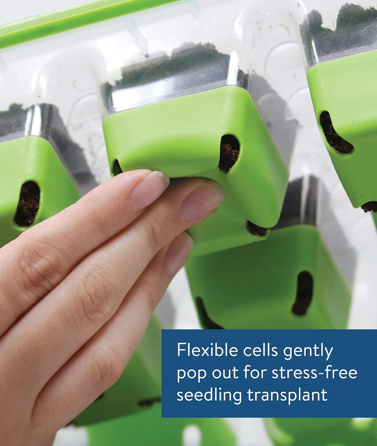 SuperSeed 36-Cell Reusable Seed Starting Tray for Indoor Seedlings
