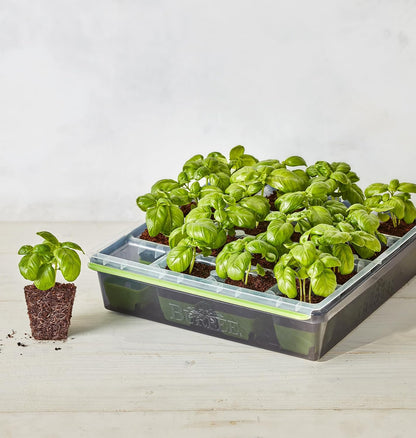 SuperSeed 36-Cell Reusable Seed Starting Tray for Indoor Seedlings
