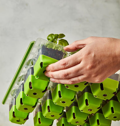 SuperSeed 36-Cell Reusable Seed Starting Tray for Indoor Seedlings