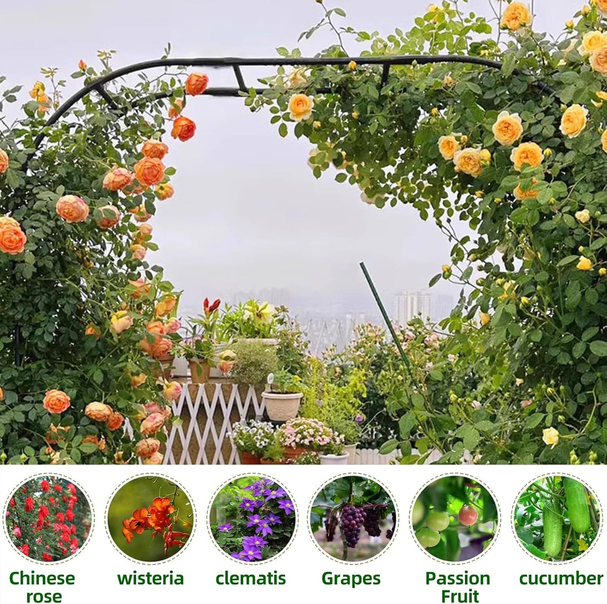 BUKLIYN Garden Arch Trellis - Garden Arch Size Length: 59in Height: 94.5in