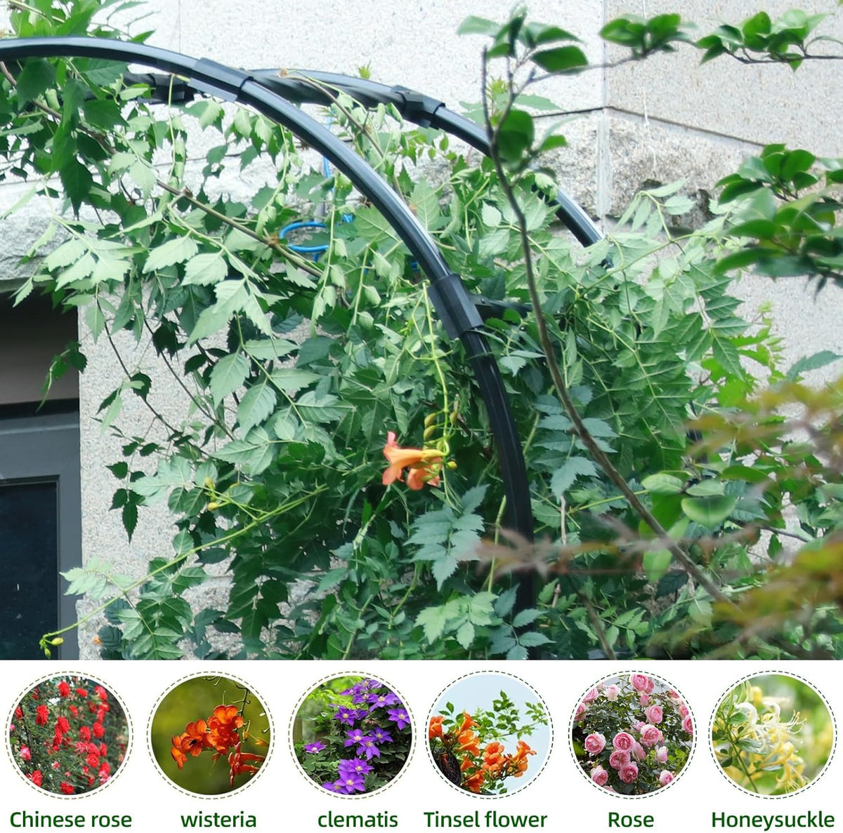 BUKLIYN Garden Arch Trellis - Garden Arch Size Length: 59in Height: 94.5in