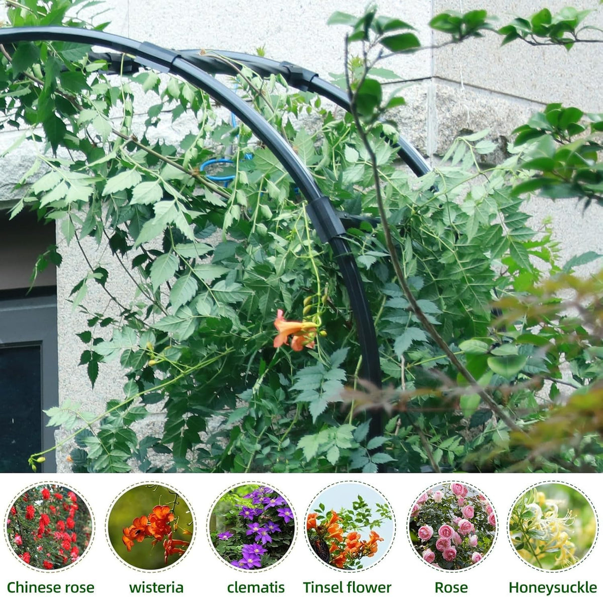 BUKLIYN Garden Arch Trellis - Garden Arch Size Length: 59in Height: 94.5in
